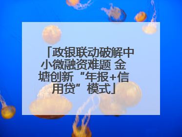 政银联动破解中小微融资难题 金塘创新“年报+信用贷”模式