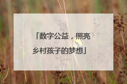 数字公益，照亮乡村孩子的梦想