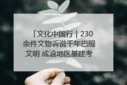 文化中国行｜230余件文物诉说千年巴蜀文明 成渝地区基建考古成果展开展