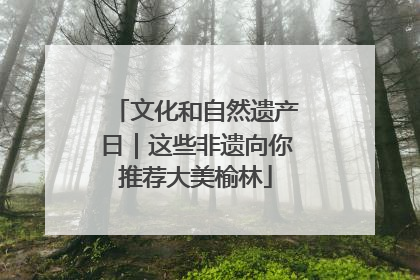 文化和自然遗产日｜这些非遗向你推荐大美榆林