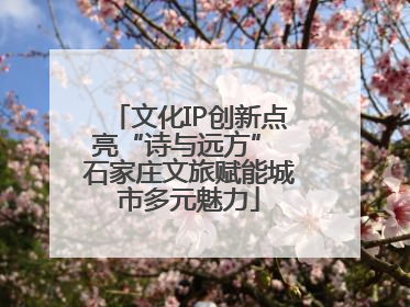 文化IP创新点亮“诗与远方” 石家庄文旅赋能城市多元魅力
