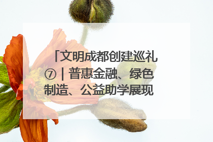 文明成都创建巡礼⑦｜普惠金融、绿色制造、公益助学展现城市文明底色