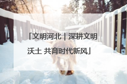 文明河北｜深耕文明沃土 共育时代新风