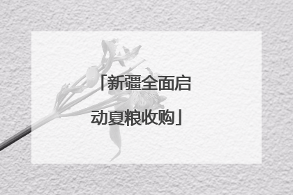 新疆全面启动夏粮收购