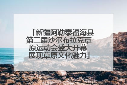 新疆阿勒泰福海县第二届沙尔布拉克草原运动会盛大开幕 展现草原文化魅力