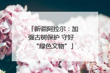 新疆阿拉尔：加强古树保护 守好“绿色文物”