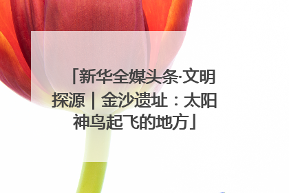 新华全媒头条·文明探源｜金沙遗址：太阳神鸟起飞的地方