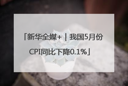 新华全媒+｜我国5月份CPI同比下降0.1%