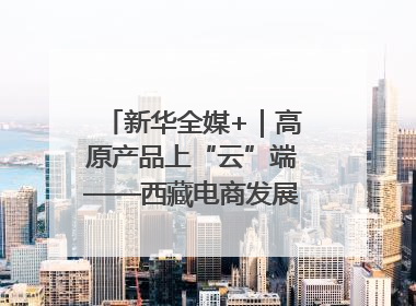 新华全媒+｜高原产品上“云”端——西藏电商发展一线观察