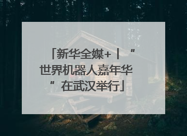 新华全媒+丨“世界机器人嘉年华”在武汉举行