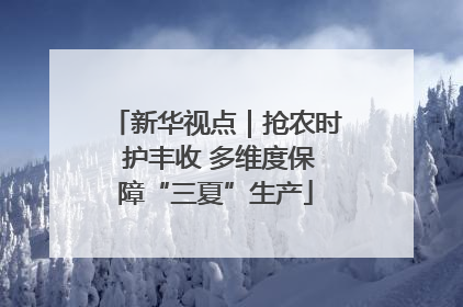 新华视点｜抢农时 护丰收 多维度保障“三夏”生产