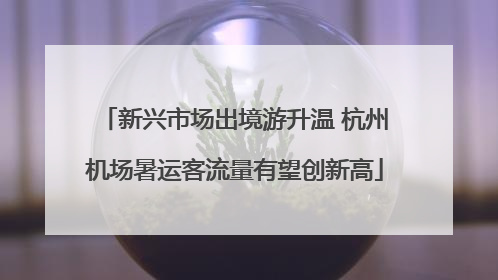 新兴市场出境游升温 杭州机场暑运客流量有望创新高