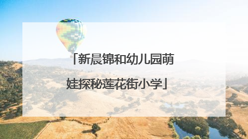新晨锦和幼儿园萌娃探秘莲花街小学
