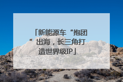 新能源车“抱团”出海，长三角打造世界级IP