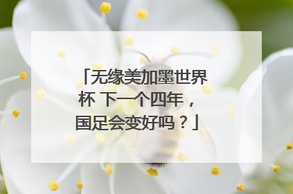 无缘美加墨世界杯 下一个四年，国足会变好吗？