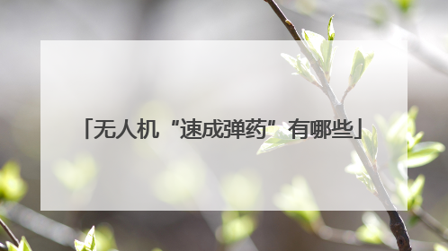无人机“速成弹药”有哪些