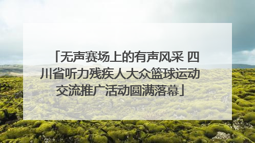 无声赛场上的有声风采 四川省听力残疾人大众篮球运动交流推广活动圆满落幕