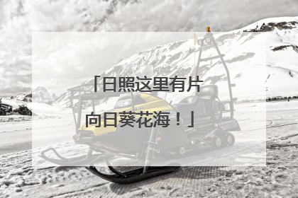 日照这里有片向日葵花海！