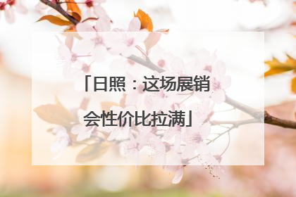 日照：这场展销会性价比拉满