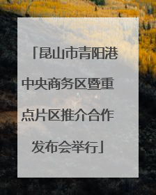 昆山市青阳港中央商务区暨重点片区推介合作发布会举行