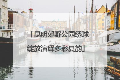 昆明郊野公园绣球绽放演绎多彩夏韵