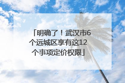 明确了！武汉市6个远城区享有这12个事项定价权限