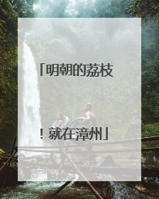 明朝的荔枝！就在漳州