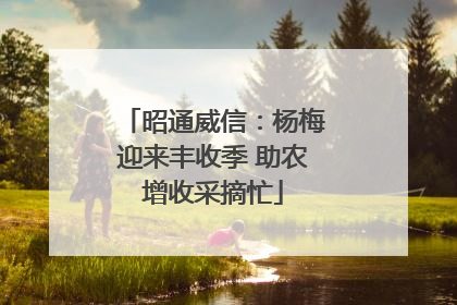 昭通威信：杨梅迎来丰收季 助农增收采摘忙