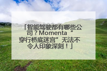 智能驾驶都有哪些公司？Momenta“穿行桥底迷宫”无法不令人印象深刻！