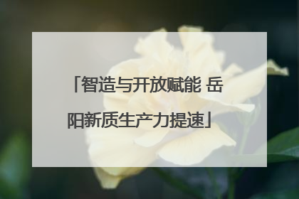 智造与开放赋能 岳阳新质生产力提速