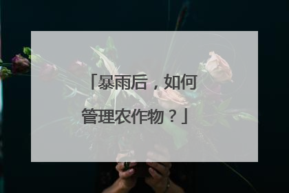 暴雨后，如何管理农作物？