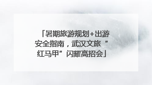 暑期旅游规划+出游安全指南，武汉文旅“红马甲”闪耀高招会