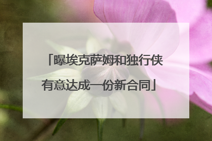 曝埃克萨姆和独行侠有意达成一份新合同