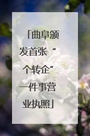 曲阜颁发首张“个转企”一件事营业执照