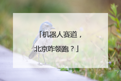 机器人赛道，北京咋领跑？