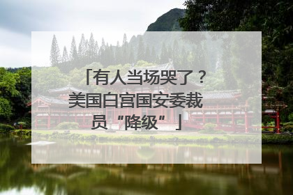 有人当场哭了？美国白宫国安委裁员“降级”
