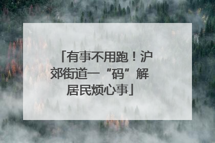 有事不用跑！沪郊街道一“码”解居民烦心事