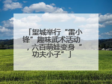 望城举行“雷小锋”趣味武术活动，六百萌娃变身“功夫小子”