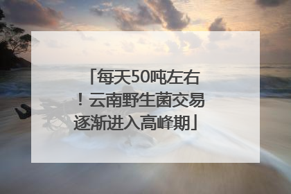 每天50吨左右！云南野生菌交易逐渐进入高峰期