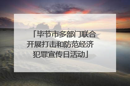 毕节市多部门联合开展打击和防范经济犯罪宣传日活动