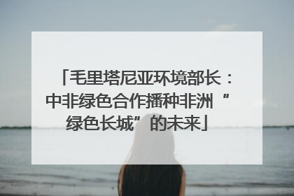 毛里塔尼亚环境部长：中非绿色合作播种非洲“绿色长城”的未来