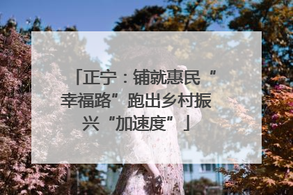 正宁：铺就惠民“幸福路”跑出乡村振兴“加速度”