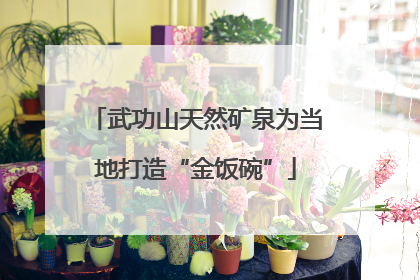 武功山天然矿泉为当地打造“金饭碗”