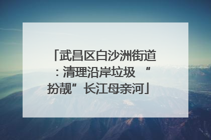 武昌区白沙洲街道：清理沿岸垃圾 “扮靓”长江母亲河