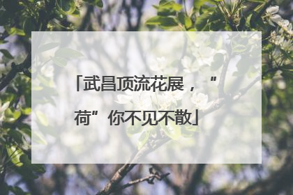 武昌顶流花展，“荷”你不见不散