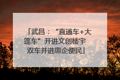 武昌：“直通车+大篷车”开进文创楼宇 双车并进惠企便民