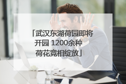 武汉东湖荷园即将开园 1200余种荷花竞相绽放