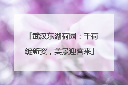 武汉东湖荷园：千荷绽新姿，美景迎客来