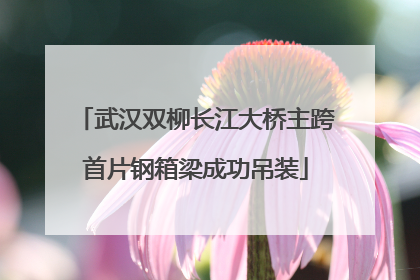 武汉双柳长江大桥主跨首片钢箱梁成功吊装