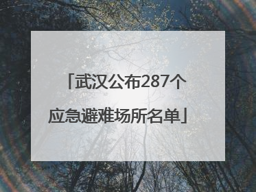 武汉公布287个应急避难场所名单